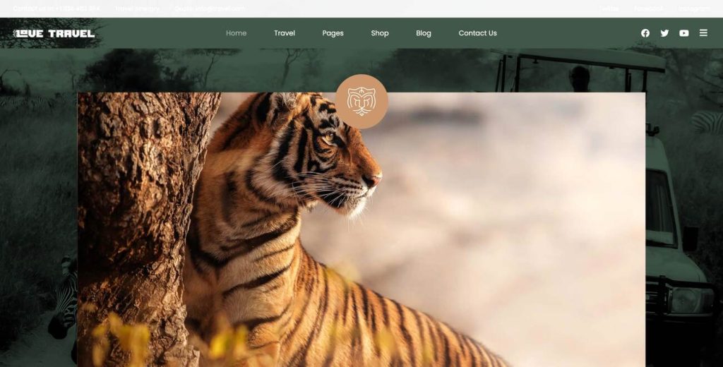 Safari WordPress Theme Preview